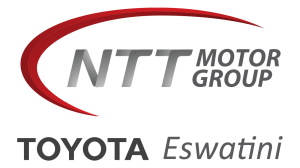 NTT Motor Group