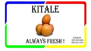 Kitale Eggs